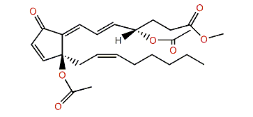 4-Epiclavulone II